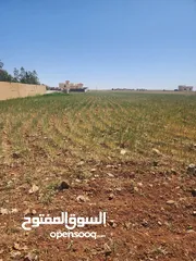  4 ارض للبيع رحاب طريق الزرقاء اربد جسر رحاب