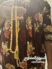  2 كهرمان طبيعي حر كلينغرادي عل فحص بسعر مغري