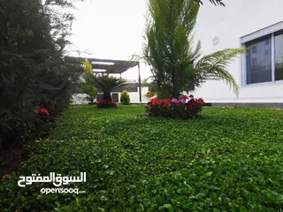  8 شقة ارضيه 210 م وحديقه وكراج 300 م في اجمل مناطق قرية النخيل