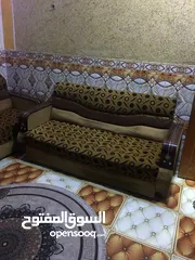  2 قنفات اللبيع نص عمرهن