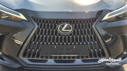  5 LEXUS NX350 HYBRIDE 2024 GERMANY 2.5L