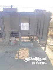  5 قفص حديد تفصيل