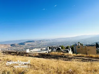  12 قطعة ارض للبيع في صويلح الكمالية