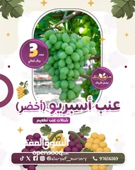  7 شتلات وأشجار العنب النادرة من مشتل الأرياف أسعار منافسة عنب الأفضل في السوق  grape انگور