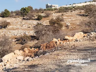  4 ارض للبيع 1500م في ارجمل مناطق المملكه في ابو السوس حوض الدبه حيث الاطلالات العاليه