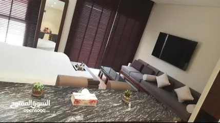  6 Luxurious large fully furnished studio Apartments in Jabal Sifah for sale