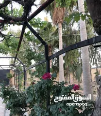  13 مزرعة مميزة و مشجرة للبيع بسعر مغري