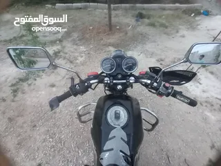  1 دراجة داهوم الموقع الرمثا - الشجرة