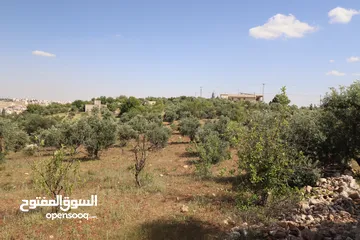  18 (1)ارض للبيع في اجمل مناطق الأردن الفحيص _حوض أبو ركبه _بالقرب من دابوق