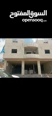  12 ممول/ بيت فجار بيت لحم