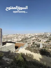  5 أرض 500 متر للبيع في لوزا