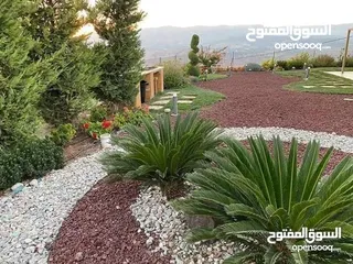  6 تراب احمر نخب اول توف بركاني أحواض زريعه أشجار بانواعها