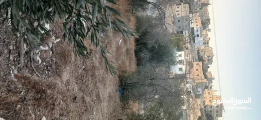  2 قطعه ارض للبيع حي الأحمد مطله على 3 شوارع مهويه من جميع النواحي مزروعه ومسوره دكه