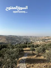 1 قطعة ارض للبيع ( الإطلالة الأجمل في منطقة بيرين)  واصل جميع الخدمات ( على قمة ام رمانة )