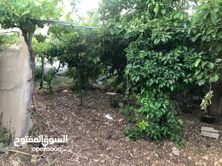  3 عقار ( أرض و 3 طوابق )