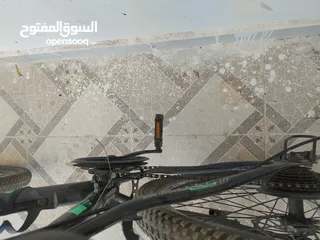  5 بسكليت 24 نخب