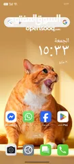  6 OnePlus 13