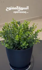  14 شجر ونباتات اصطناعي بطابع الطبيعي