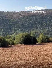  2 ارض مفروزه محاطة ب شاليهات و غابات