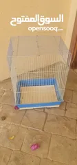  4 Birds cage for parrots and feeding