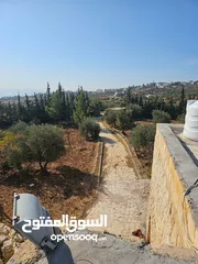  12 Farm for sale