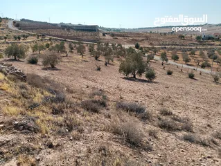  3 لقطة ؛ أرض زراعية مع غرفة على حدود الطفيلة والكرك ، تصلح للاستثمار كمزرعة سياحية أو منتجع سياحي