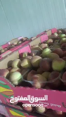  1 مشروع تجاري مربح بحاجة لتمويل