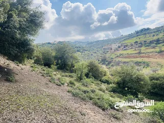  4 3500 م زي إطلالة خلابه