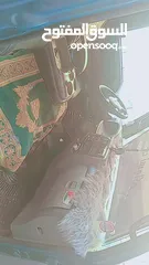  2 كيا فرونتير موديل 2003