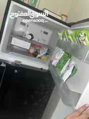  5 LG fridge in mint condition for sale, bought new 2 years back.