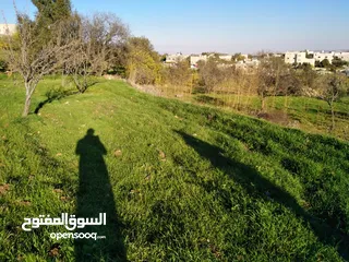  4 ارض للبيع مفروزه 3 نمر بالقرب من مسجد المومني