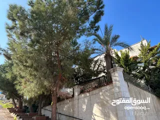  9 شقه مميزه في افخم مناطق عبدون الجنوبي  ( Property ID : 30704 )