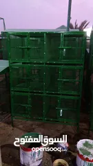  15 bird cage for garden