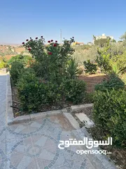  11 مزرعة 10 دونمات مع شاليه و مسبح للبيع
