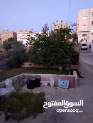  6 أرض للبيع بمساحه 678:340 متر عليه بيت قديم 100م يوجد فيها أشجار الزيتون وتوت وتين ولمون وعنب على شار