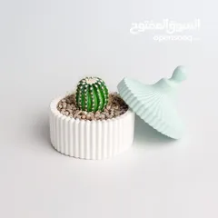  1 تحف جبس ديكور