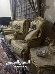  1 تخم قنفات مصري