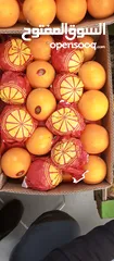  16 زهرة الطماطم لتوريد الخضار والفاكهة