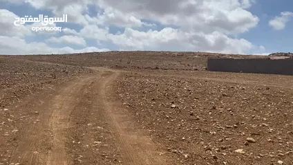  7 للبيع - الكرك - تلعة الخنزير (بالقرب من المستشفى الحكومي) داخل حدود بلدية الكرك