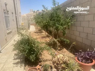  7 بيت مستقل للبيع منطقة هادئة ومريحة للسكن