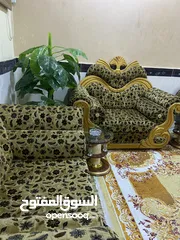  4 تخم قنفات قوي جدا