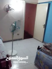  2 شقة للايجار اليومي إسكندر ابراهيم ميامي الإسكندرية