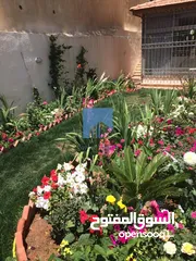  1 شقة مميزة للبيع في خلدا  - مقابل ميداس 200م مع حديقة وترسات 200م