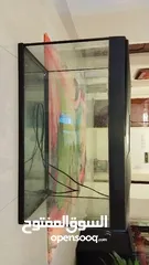  3 Big size Aquarium for sale