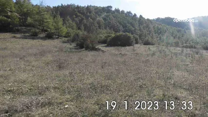  20 Land near DENIZLI, 15,850m², on the edge of a forest, for wine or fruit cultivation, from Owner