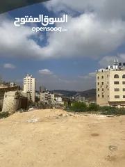  1 قطعة ارض بيتونيا بسعر لقططة