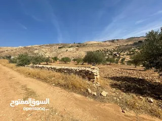  4 قطعة ارض زراعية مميزة ومطلة من اراضي غرب السلط -  للبيع من المالك مباشرة