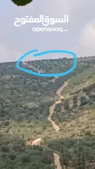  4 ارض للبيع بسعر مغري في ياصيد