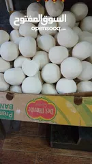  7 جميد بلدي جبنة غنم سمن بلدي