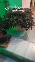  8 مجموعة اغراض للبيع